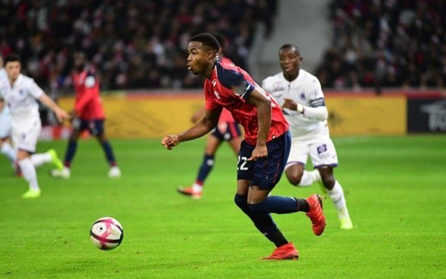 众多传奇球 众多传奇球